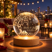 Personalized Couple Crystal Globe Everlasting Love Tree Heart Lamp, Custom Engagement Gift for Bride and Groom, Wedding Anniversary Gift