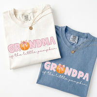 One Little Pumpkin First Birthday Family Matching Shirts, Fall Party Outfits