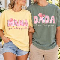 Mama & Dada of a Silly Goose Matching Comfort Colors Tee mockup 2
