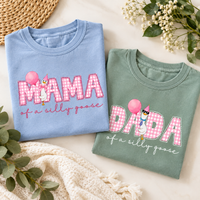 Mama & Dada of a Silly Goose Matching Comfort Colors Tee mockup 9