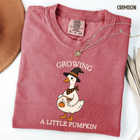 Halloween Matching Pregnancy Announcement Shirt , Growing A Little Pumpkin Silly Goose Mom Dad Baby Reveal Tee,  Halloween Couple Pregnancy Gift