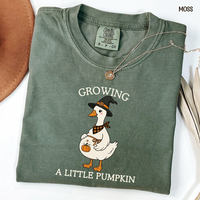 Halloween Matching Pregnancy Announcement Shirt , Growing A Little Pumpkin Silly Goose Mom Dad Baby Reveal Tee,  Halloween Couple Pregnancy Gift