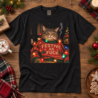 Festive As Fuck & Merry As Fuck Couple Shirts – Christmas Couple Gift