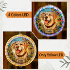 New! Custom Pet Portrait LED Hanging Light Lamp, Loss of Dog Gift, Puppy Loss Gift, Pet Memorial Gift, Puppy Loss Gift, Christmas Decor 2025