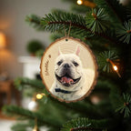 Custom Pet Portrait Wall Art, Pet Memorial Gift, Custom Guinea Pig Portrait Wooden Hanging, Pet Loss Sympathy Gift, Hamster Memorial Gift